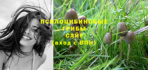 марки lsd Аркадак