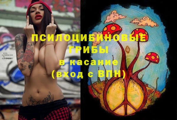 каннабис Арсеньев
