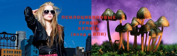 каннабис Арсеньев